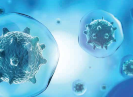 MICROBIOLOGICAL CONTROL